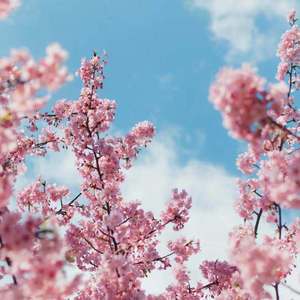 瘸蚀人漫画下拉式漫画
